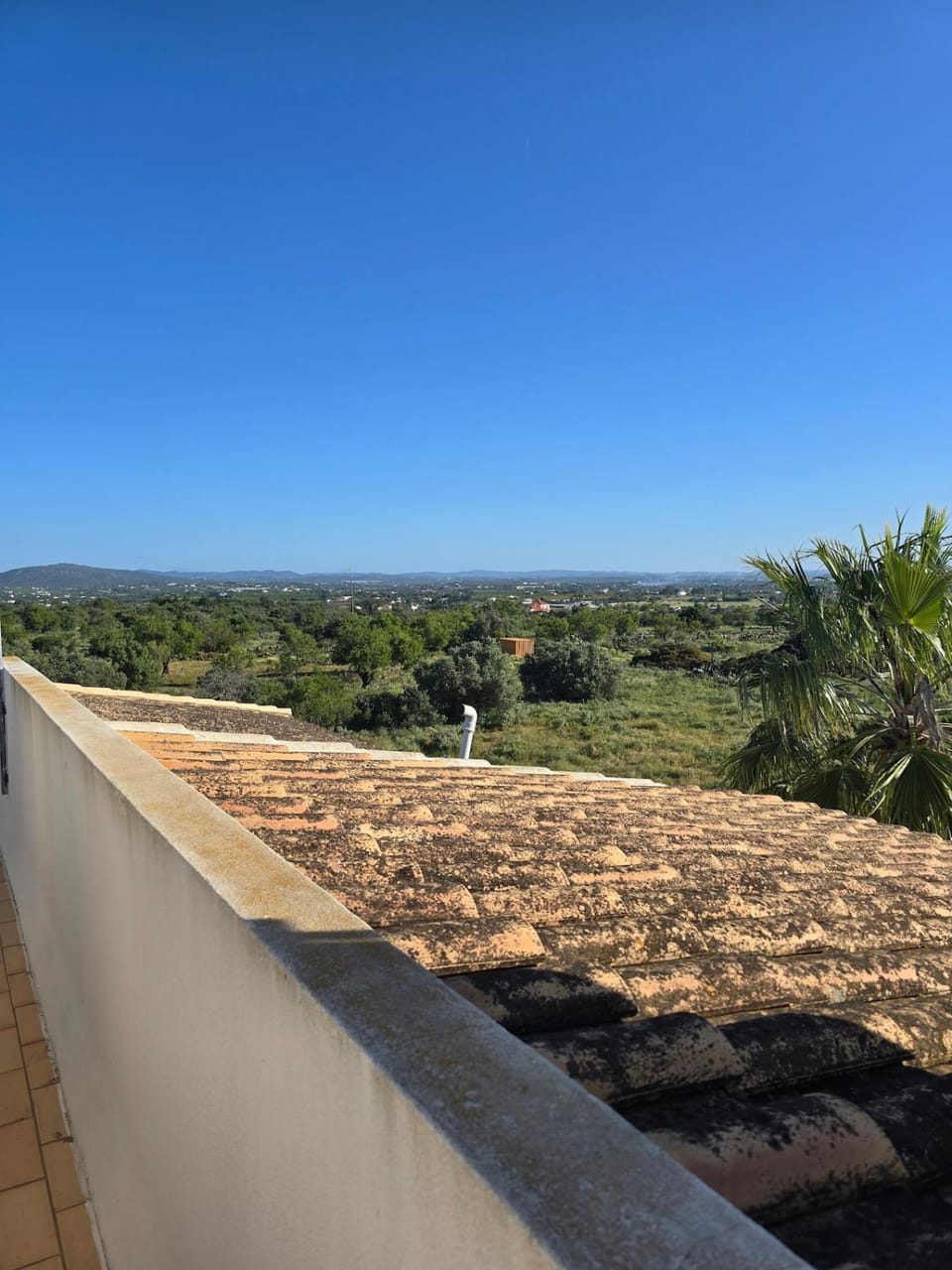 Ria Formosa Lovers Apartment in Moncarapacho