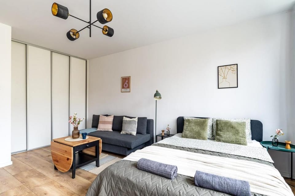 Bed, Living room, Photo of the whole room, Seating area, wardrobe