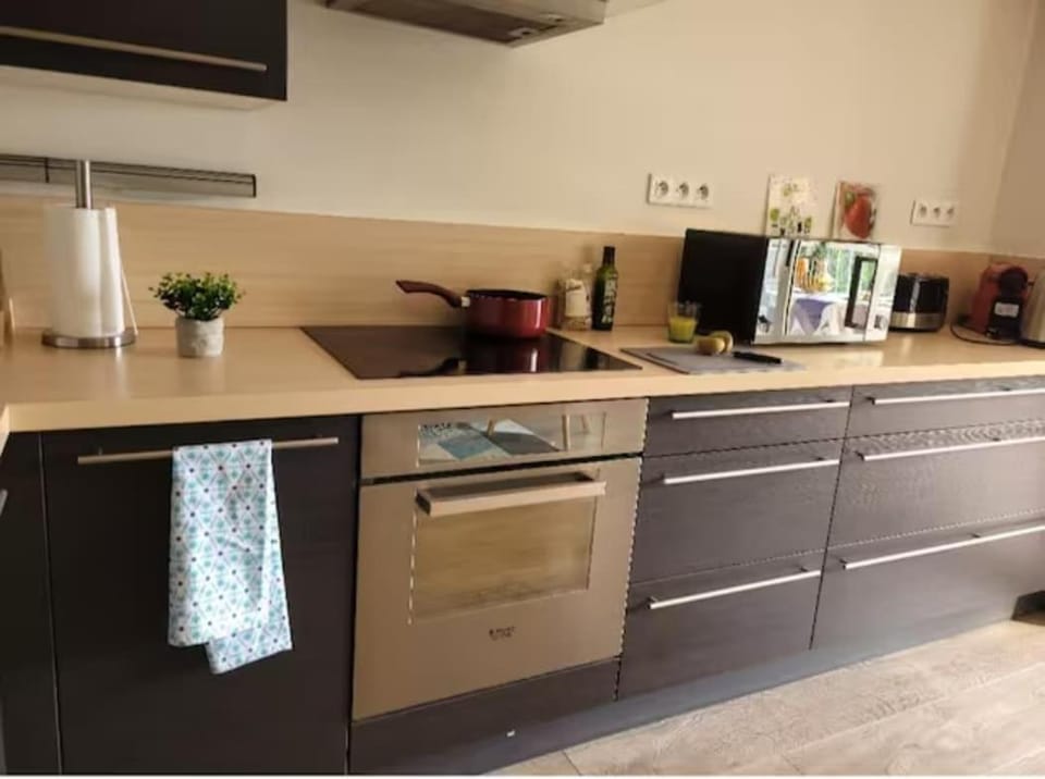 Zen & Cozy Studio et Terrasse Apartment in Villeneuve-Loubet