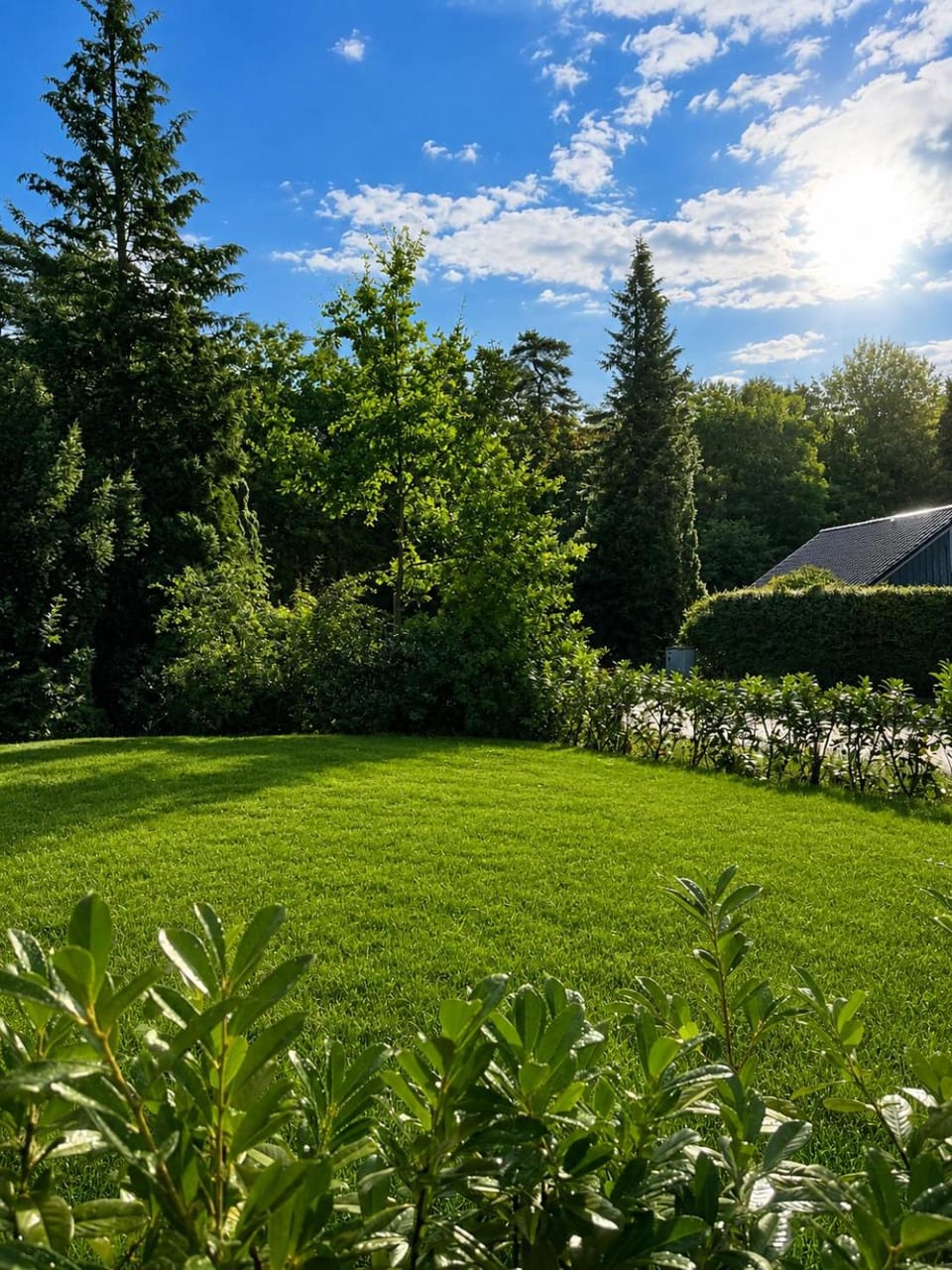 Garden view