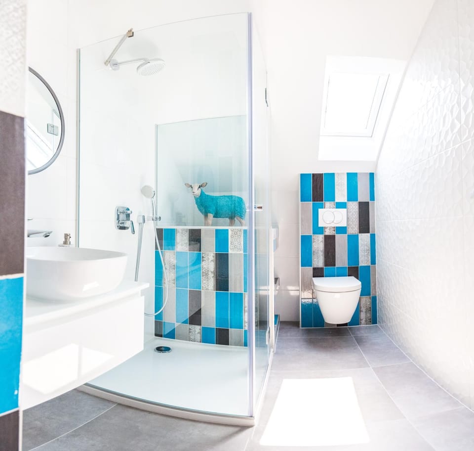 Shower, Toilet, Bathroom, Decorative detail