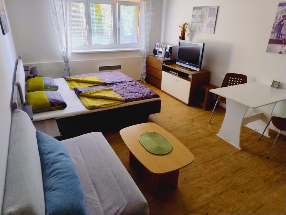Apartmán Lipno TwentyFive Apartment in Lipno nad Vltavou