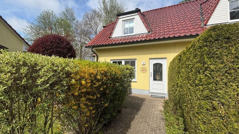 Am Deich 48 - Haus Sonne House in Zingst