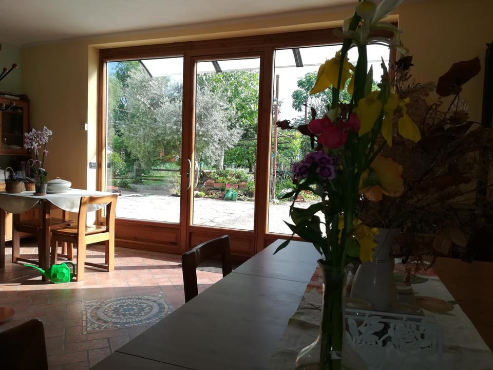 Garden view