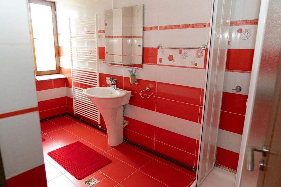 Pensiunea La Radu Hostel in Romania