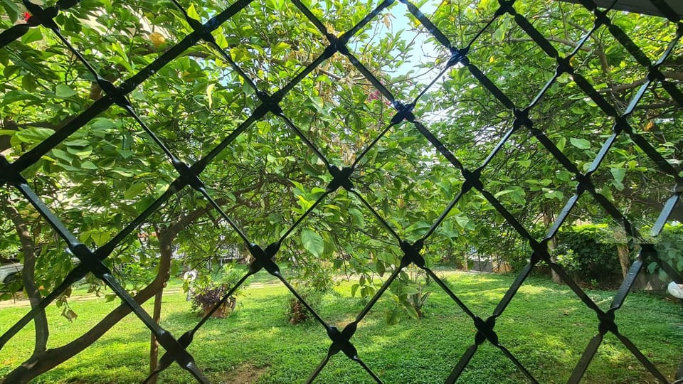 Garden view, Garden view