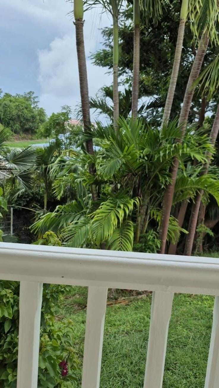 Garden view