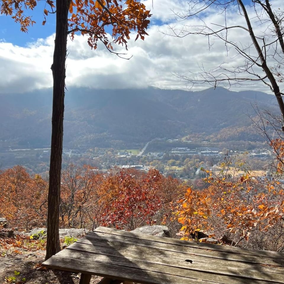 Japandi - Scandinavian Retreat, Mountain View, and 20 Minutes to Asheville Apartment in Swannanoa