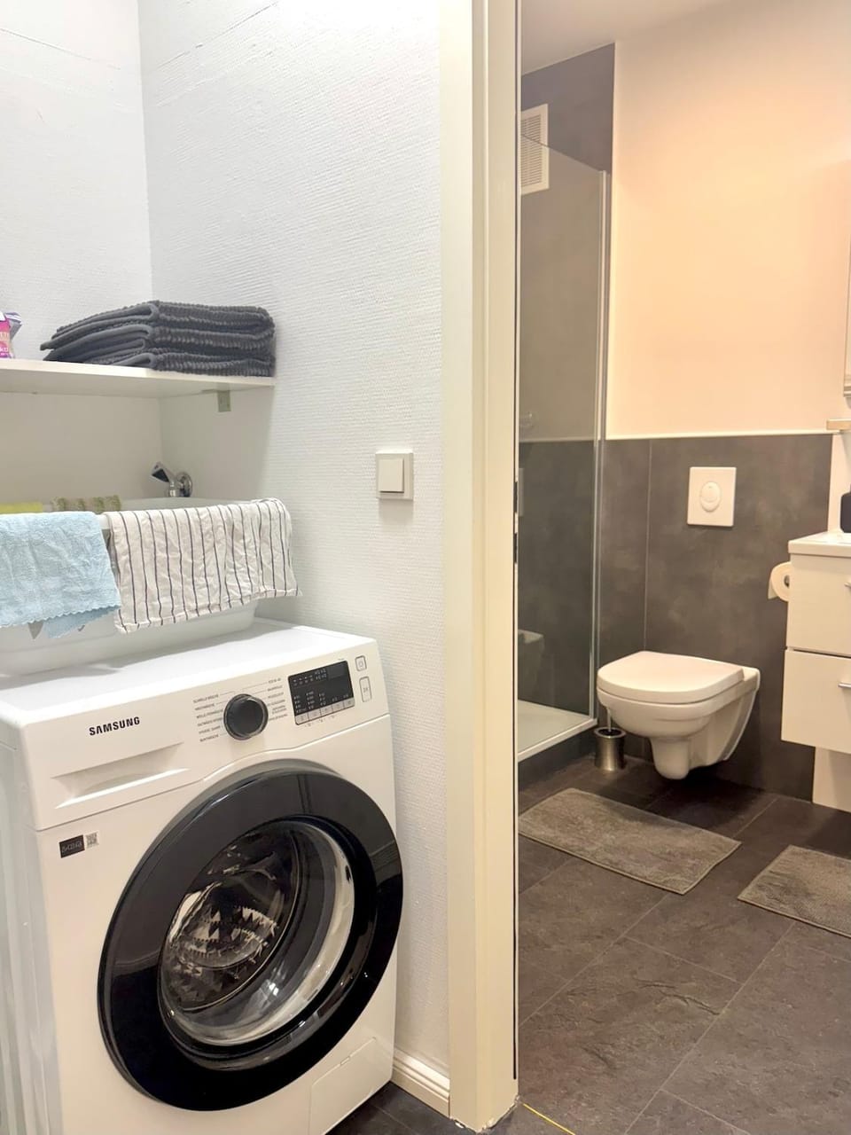 Toilet, Bathroom, washing machine