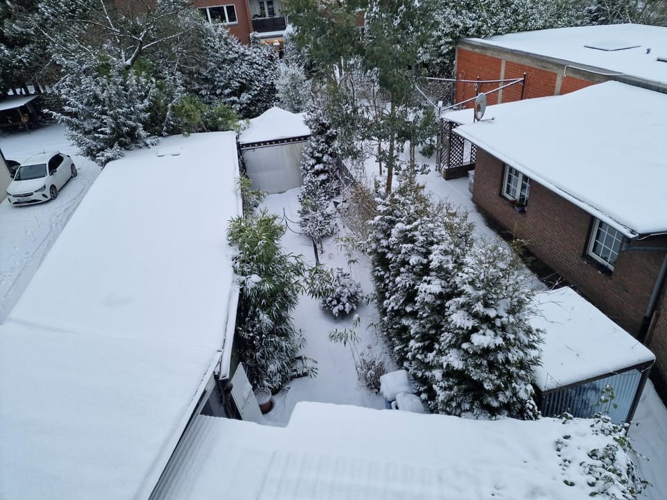 View (from property/room)