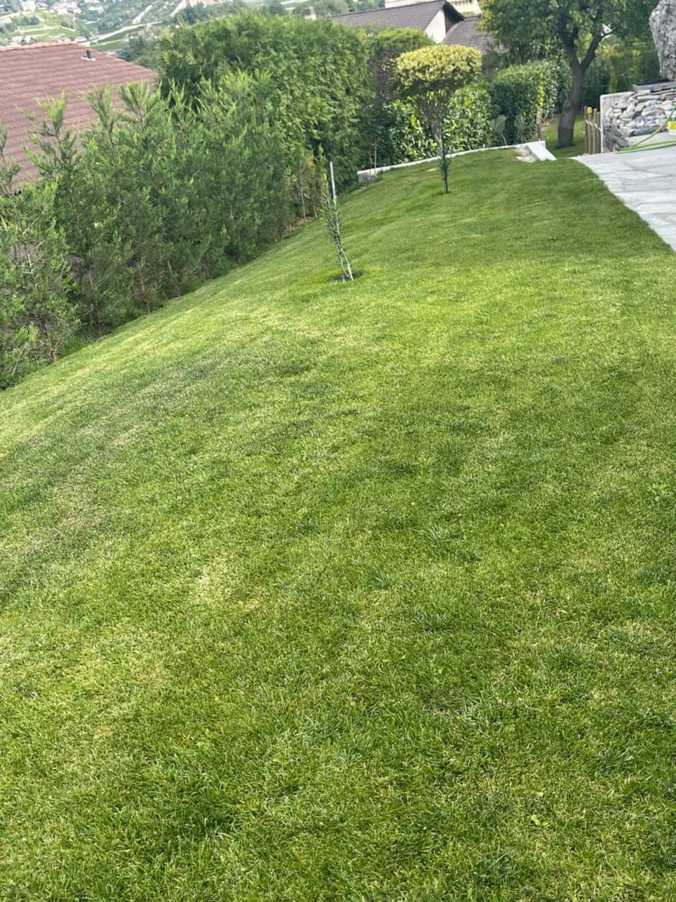 Le rocher Apartment in Sierre