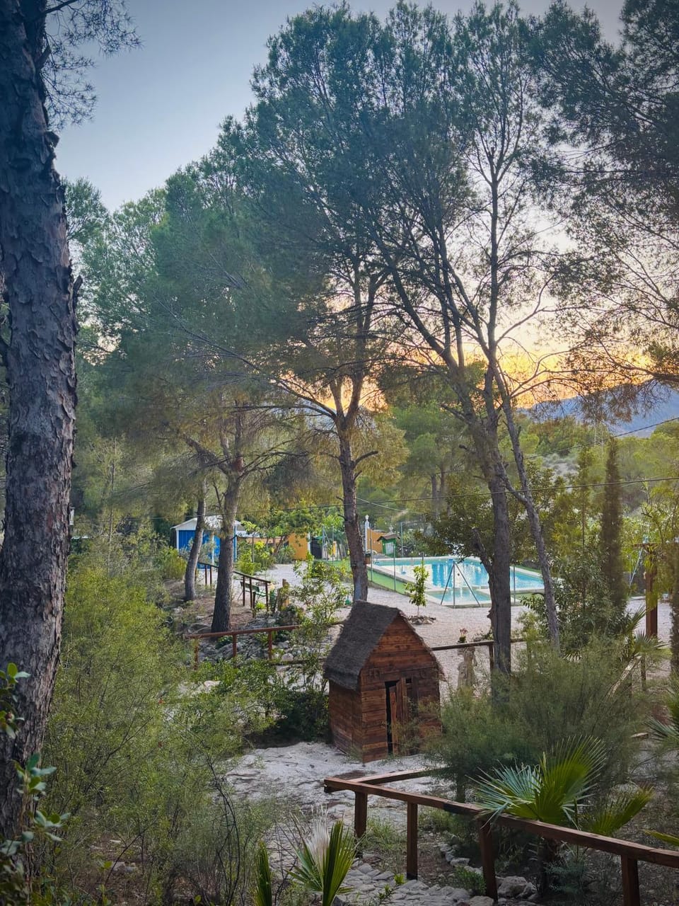 Natural landscape, Garden, Pool view, Swimming pool