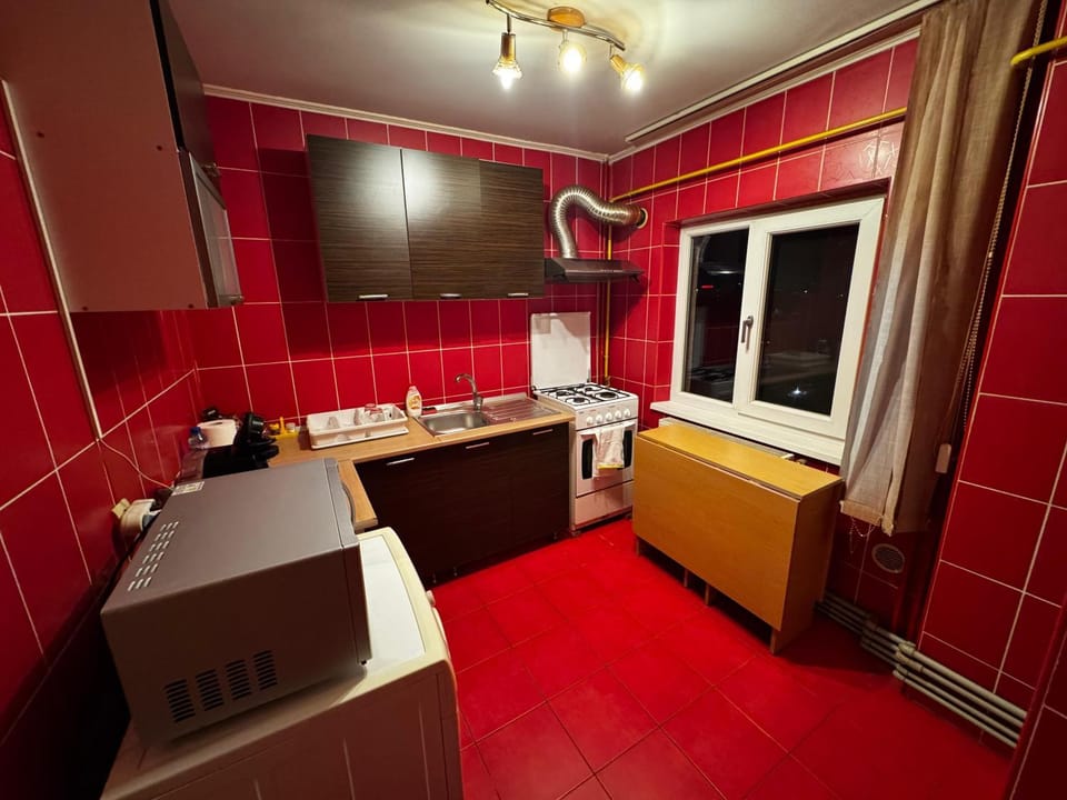Eric Studio Apartment in Craiova
