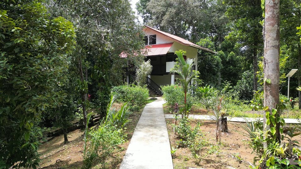 Property building, Day, Natural landscape
