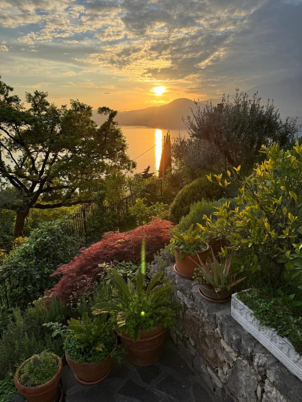 Garden, Garden view, Sunset