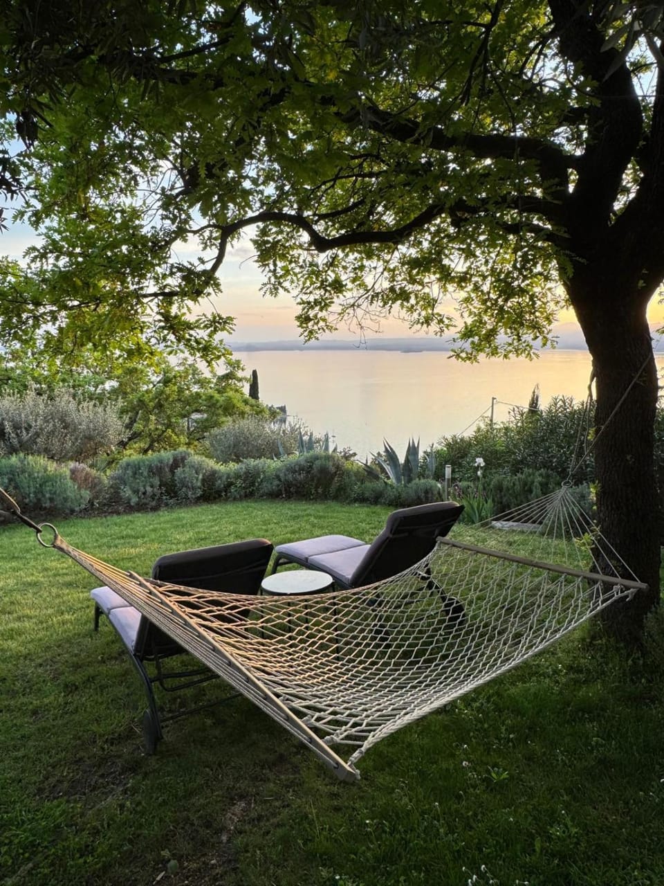 Natural landscape, Garden view, Lake view