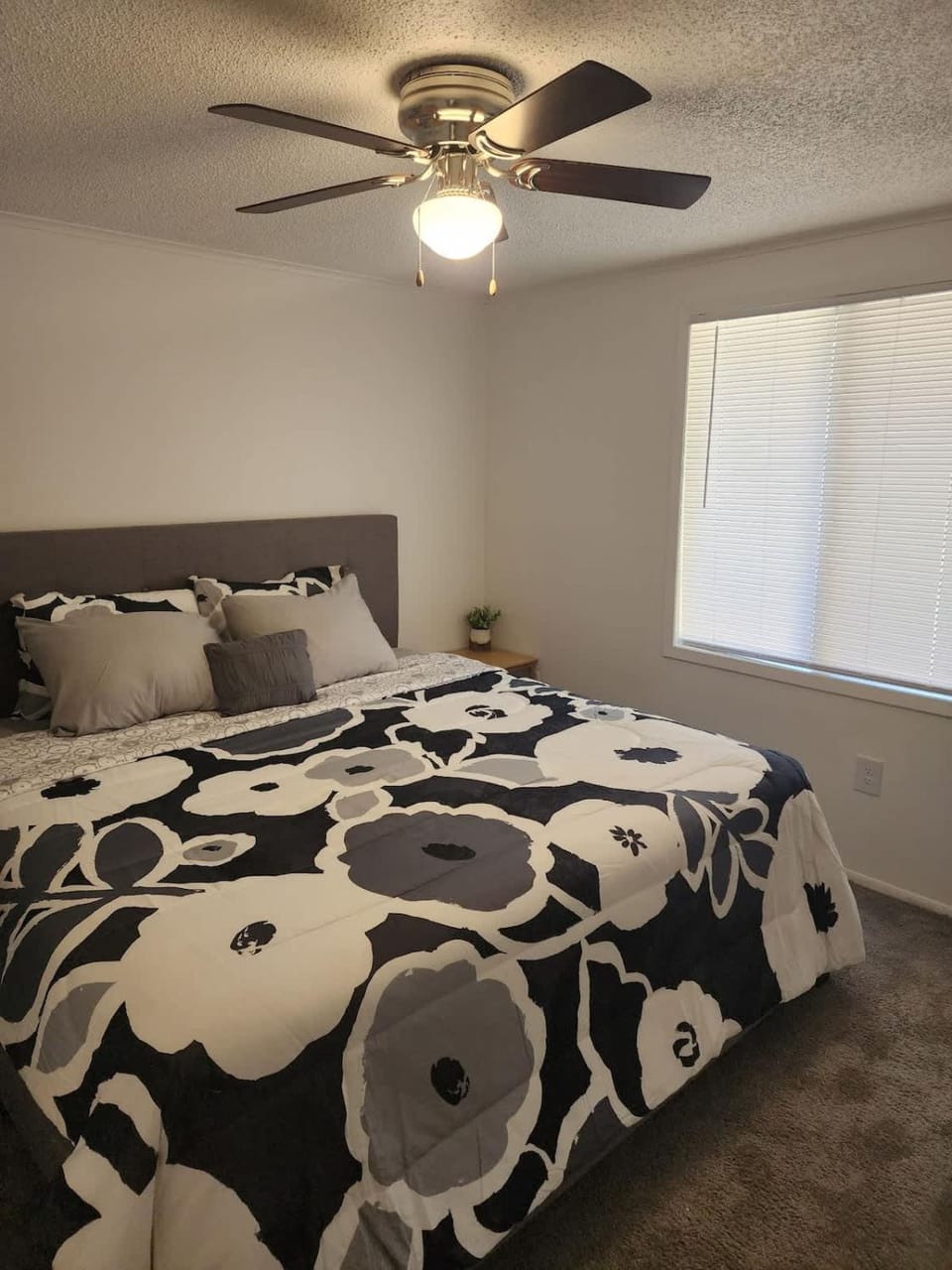 1st Floor King Bed Beach Mayo Clinic Pets Welcome Apartment in Jacksonville