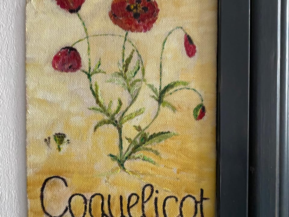 Studio Les Coquelicots n°1 avec Wi-Fi - La Bourboule - FR-1-858-20 Apartment in Auvergne-Rhône-Alpes