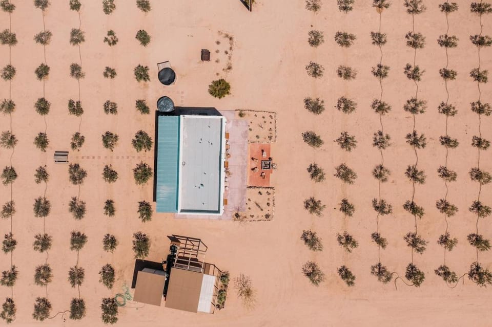 Joshua Tree Olive Farm - Serenity, Spa, Views House in Southern California