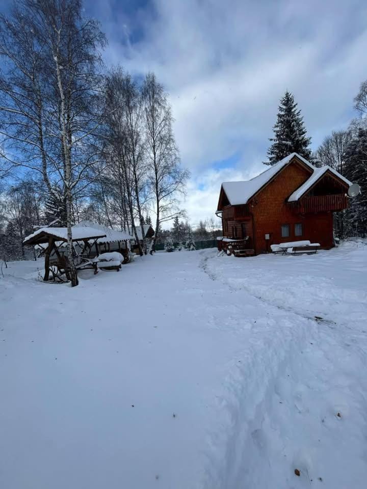 Rustic Haven Chalet in Cluj County