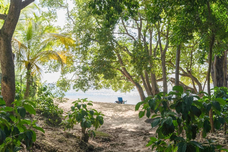 Stylish NEW 2BR Villa with Pool Walk to Beach House in Saint James