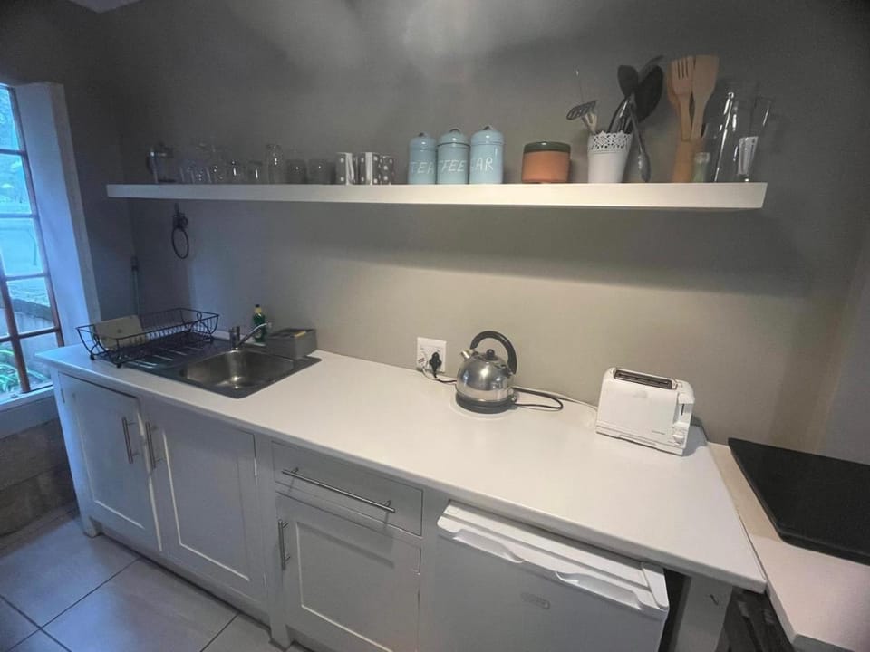 Coffee/tea facilities, Kitchen or kitchenette, stove