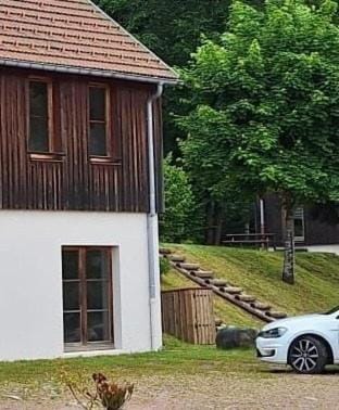 Chalet au bord du lac Longemer Chalet in Xonrupt-Longemer