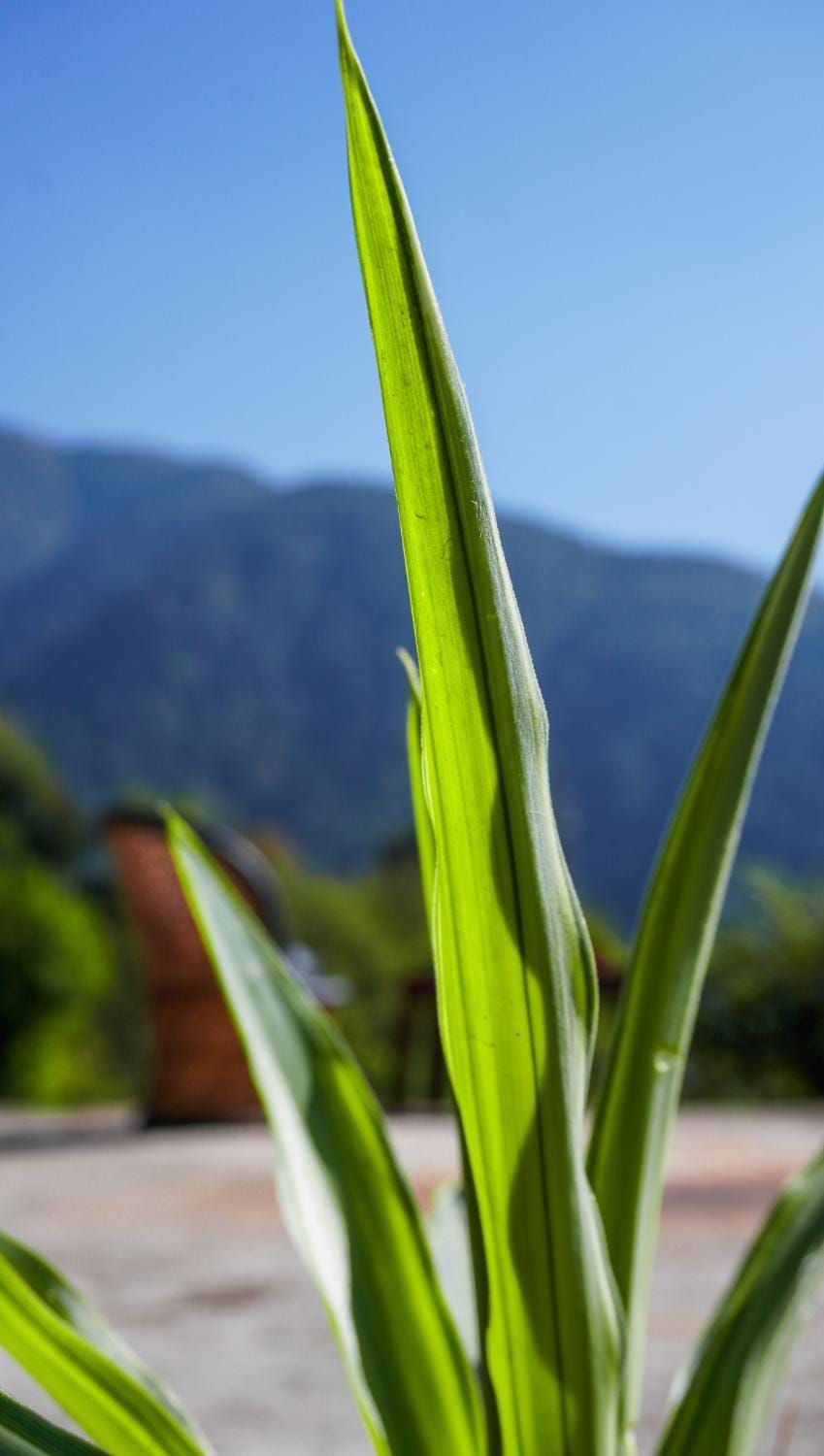 Day, Natural landscape, Mountain view