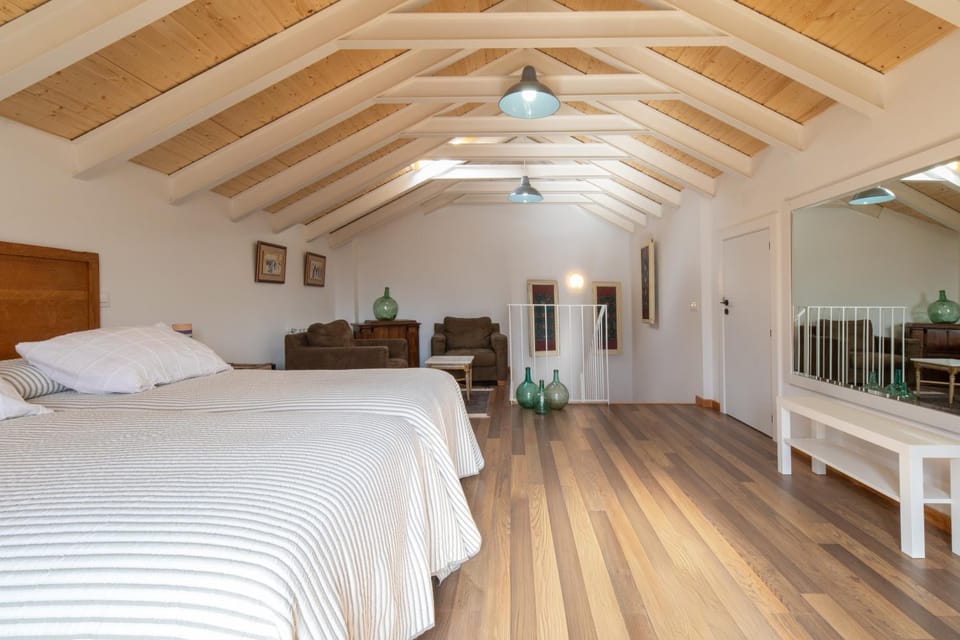 Casa Rural La Pizarrera de Prádena Apartment in Castile-La Mancha