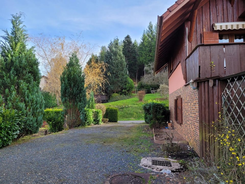 Day, Natural landscape, Garden, Garden view