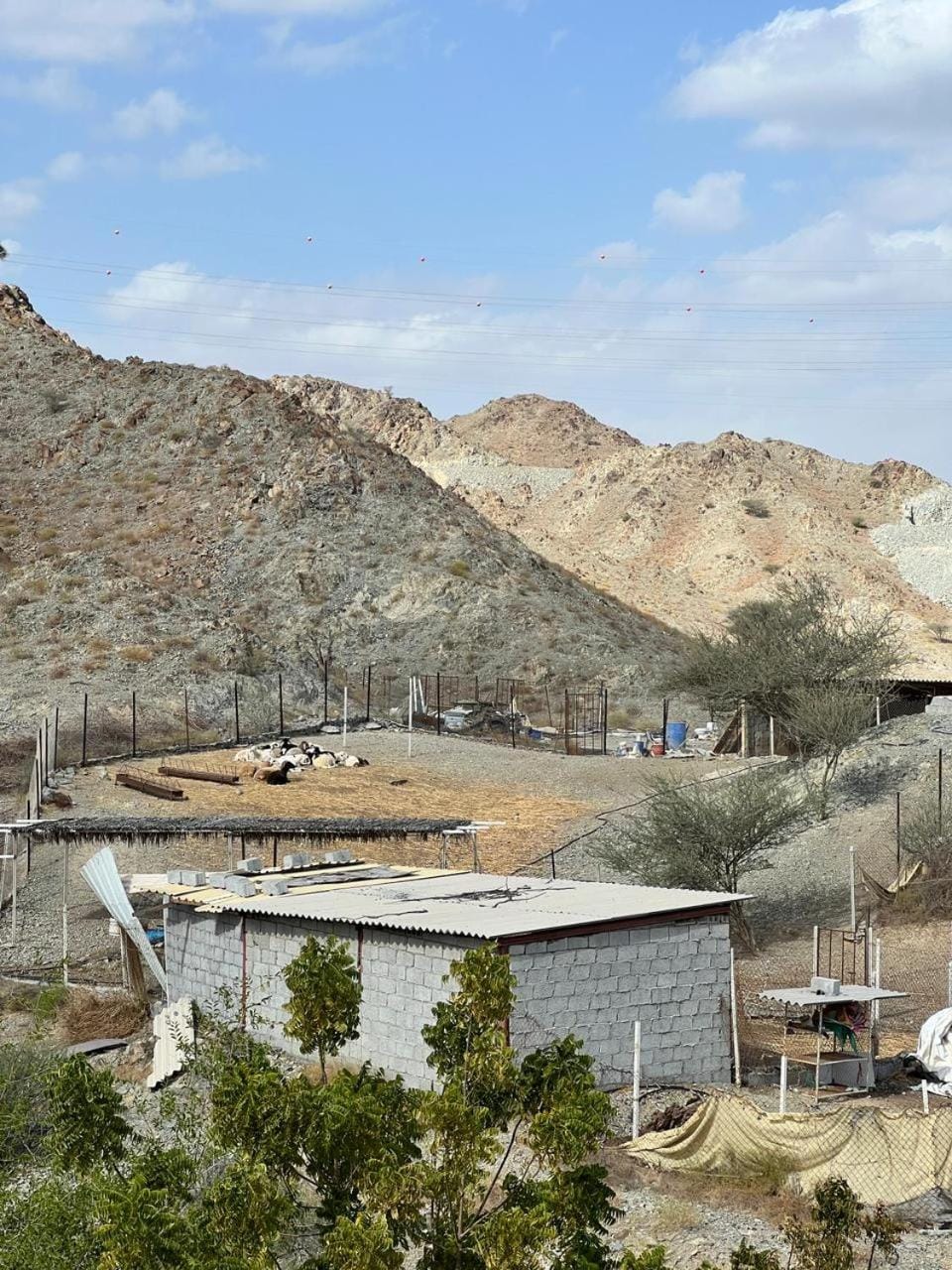 Abucho Adventure Holiday Homes Campground/ 
RV Resort in Ras al Khaimah