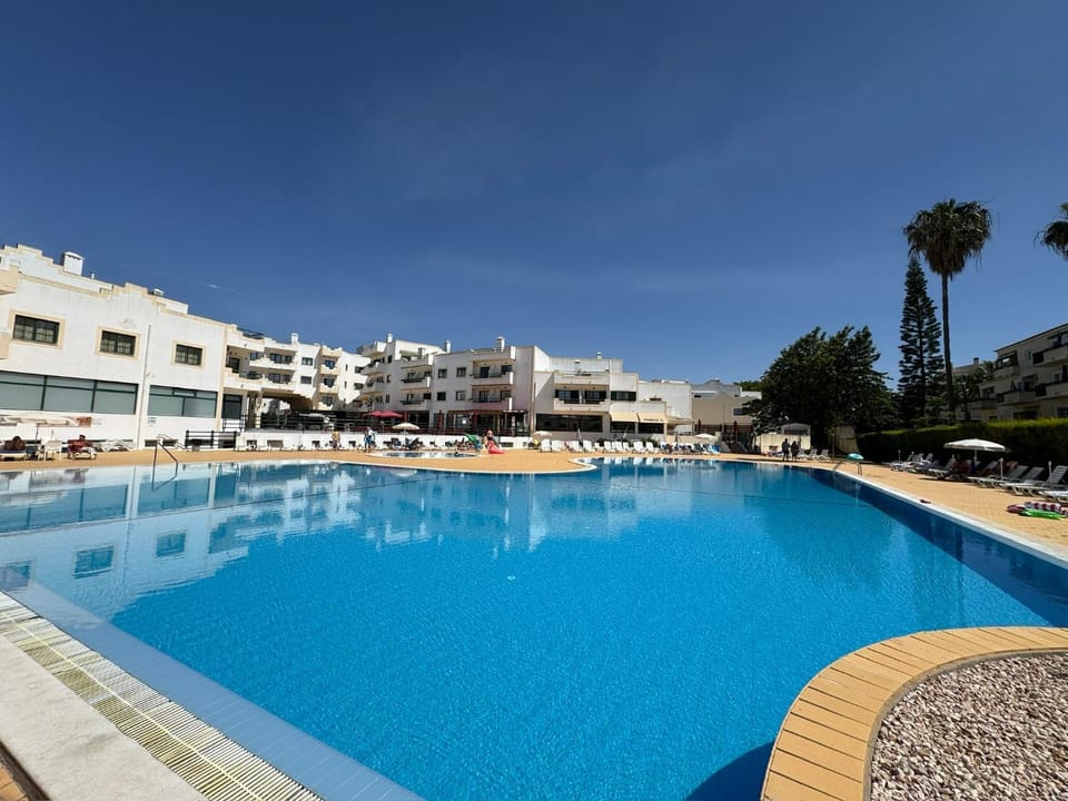Day, Pool view, Swimming pool, sunbed
