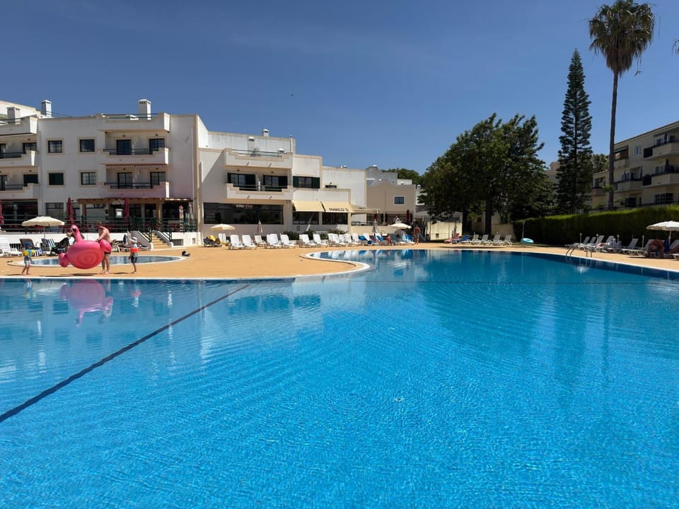 Day, Pool view, Swimming pool, sunbed