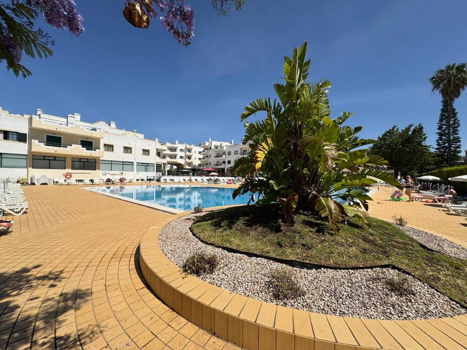 Day, Pool view, Swimming pool, sunbed