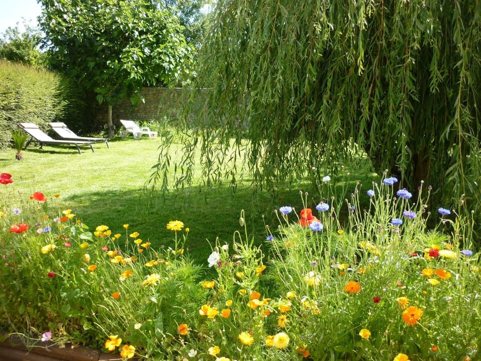Toilet, Spring, Garden, Garden view, Landmark view