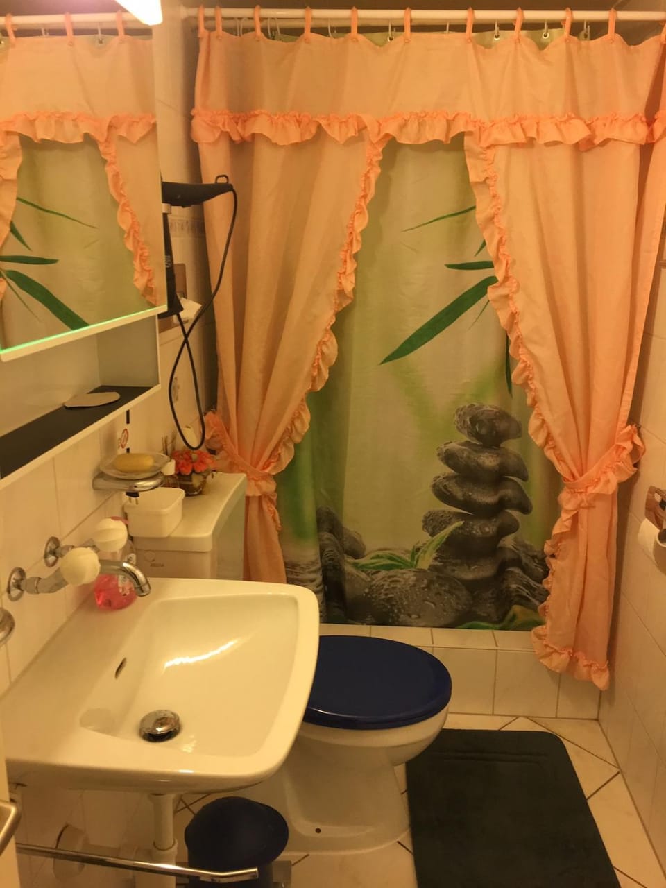 Dream room in basement with private bathroom Apartment in Canton of Bern (Region)