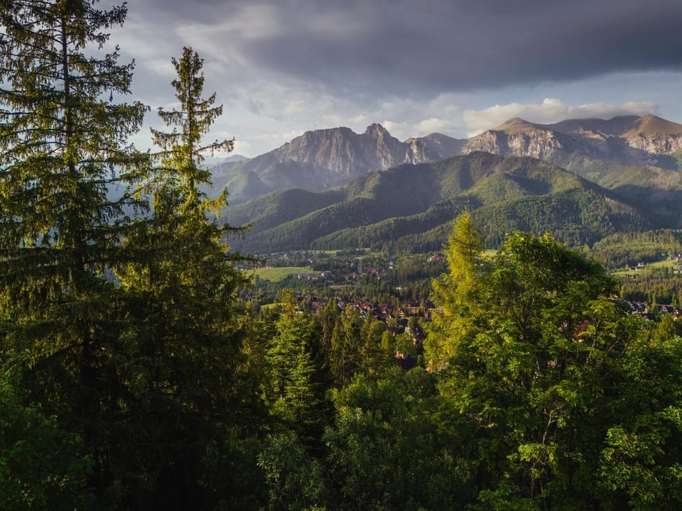 Salamandra Pearl Chalet Villa in Zakopane