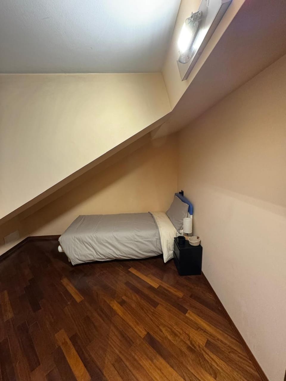 Belvedere Palazzo Madama Apartment in Turin