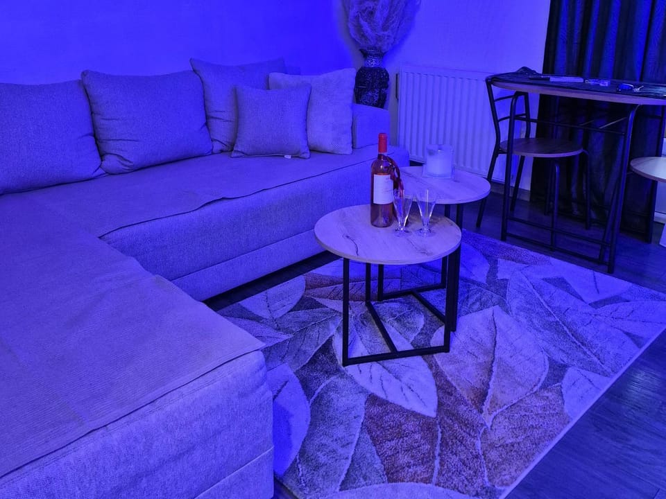 CARPE DIEM Unique S&P Apartment in Serbia