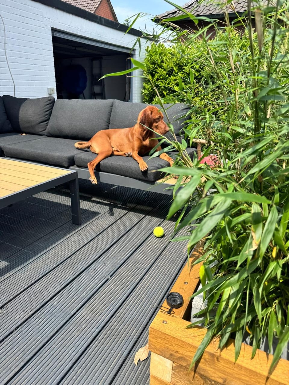 Haus mit drei Schlafzimmern und Garten Apartment in Nettetal