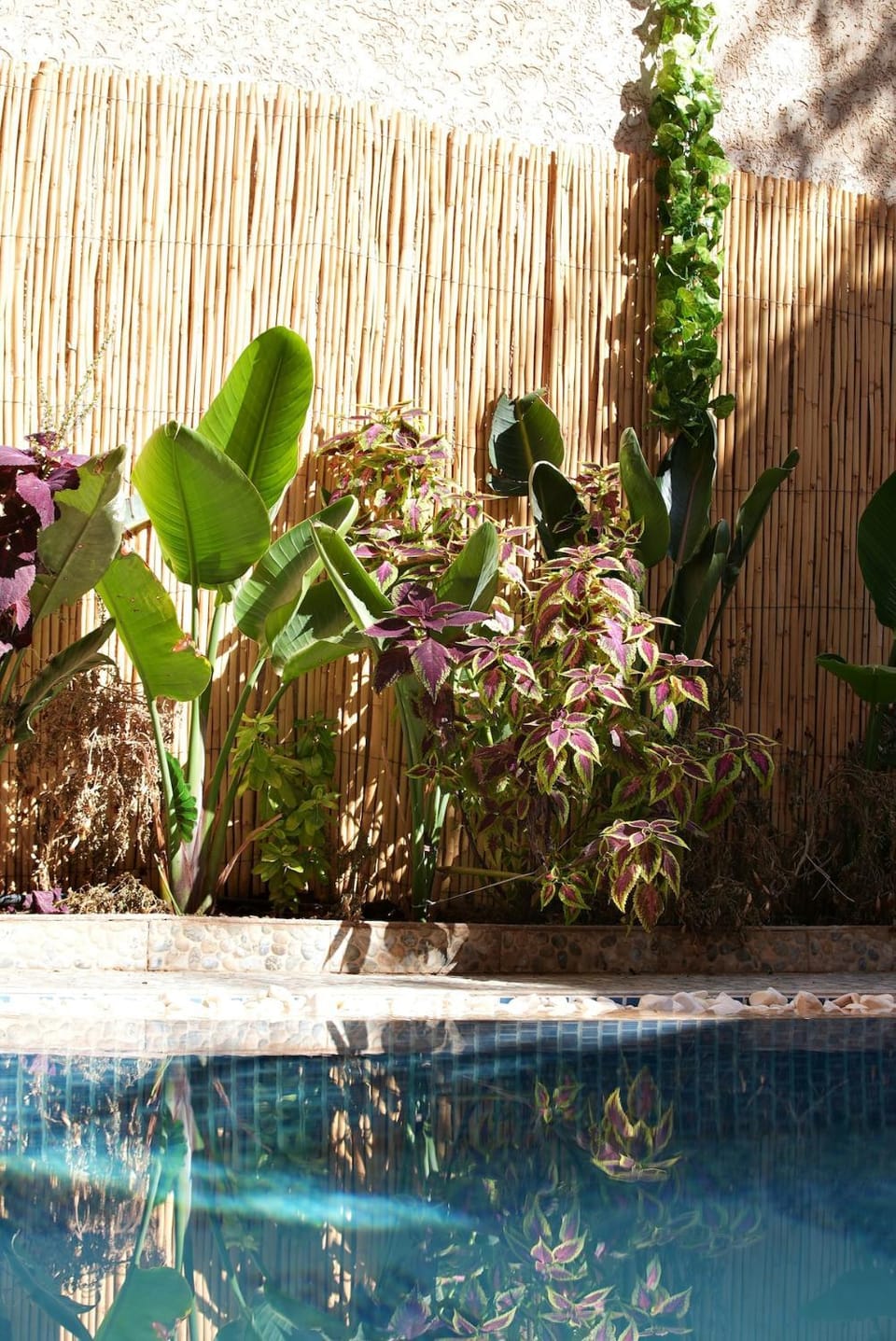 la villa cozy Villa in Marrakesh
