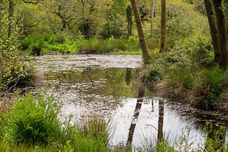 Natural landscape