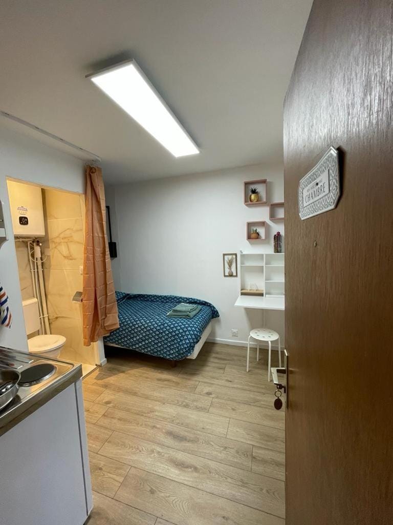 petit studio proche gare Strasbourg Apartment in Strasbourg