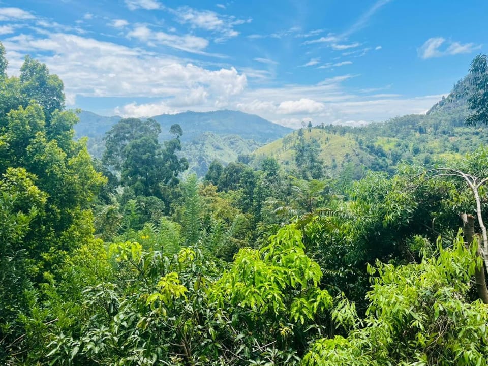 Landmark view