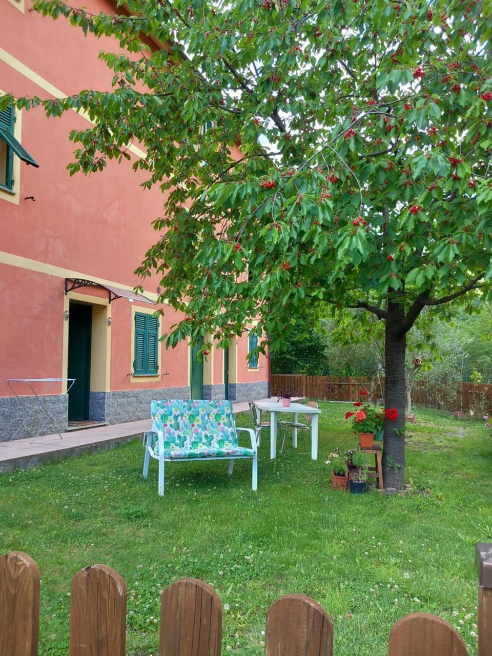 Garden view