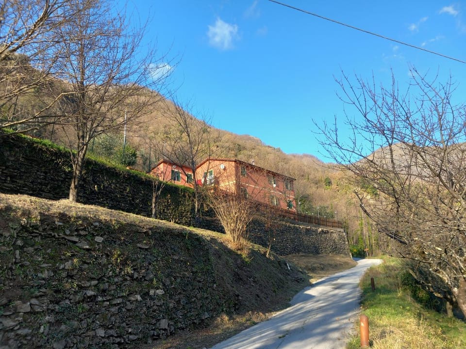 Property building, Spring, Day, Natural landscape, View (from property/room)