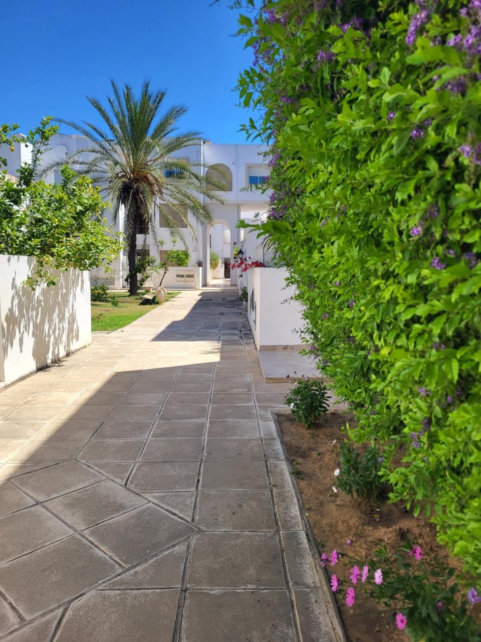 Duplex el 3ebdelleyya en face tennis club la marsa Apartment in Tunis Governorate, Tunisia