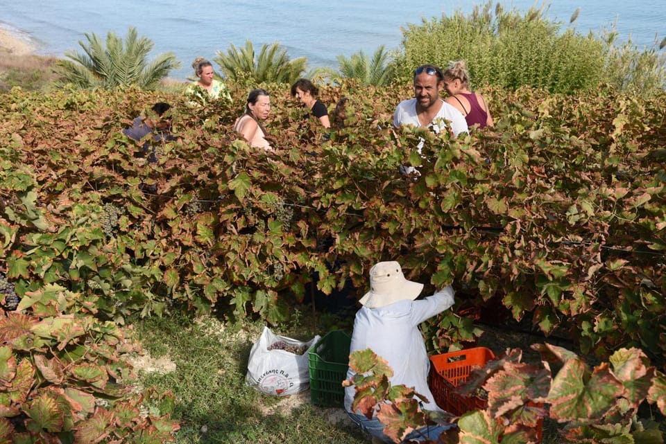 Kastro Kera Apartment in Crete