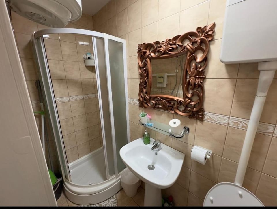 Shower, Toilet, Bathroom, towels