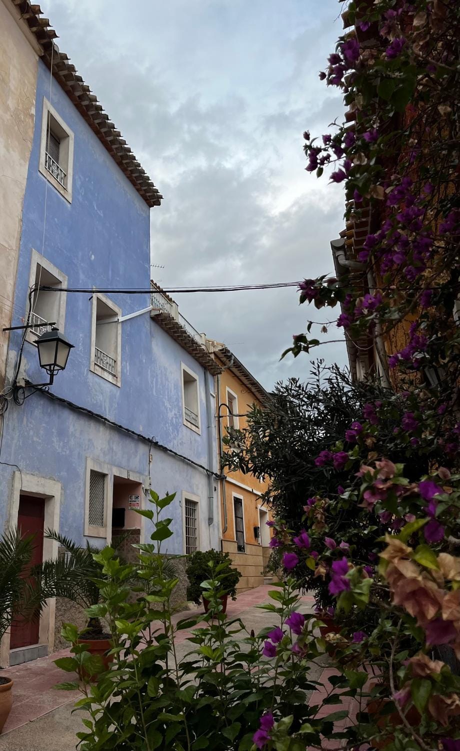 Property building, Neighbourhood, Street view